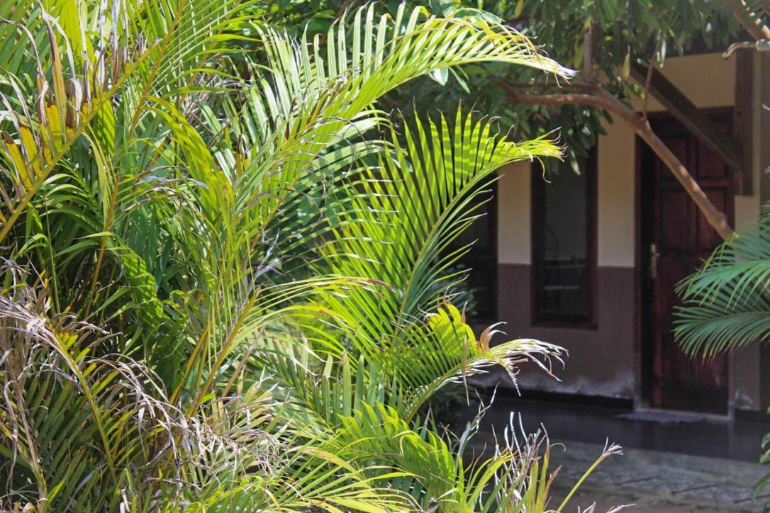 Apartamento Harrys Oceanhouse 2 Pacitan Exterior foto